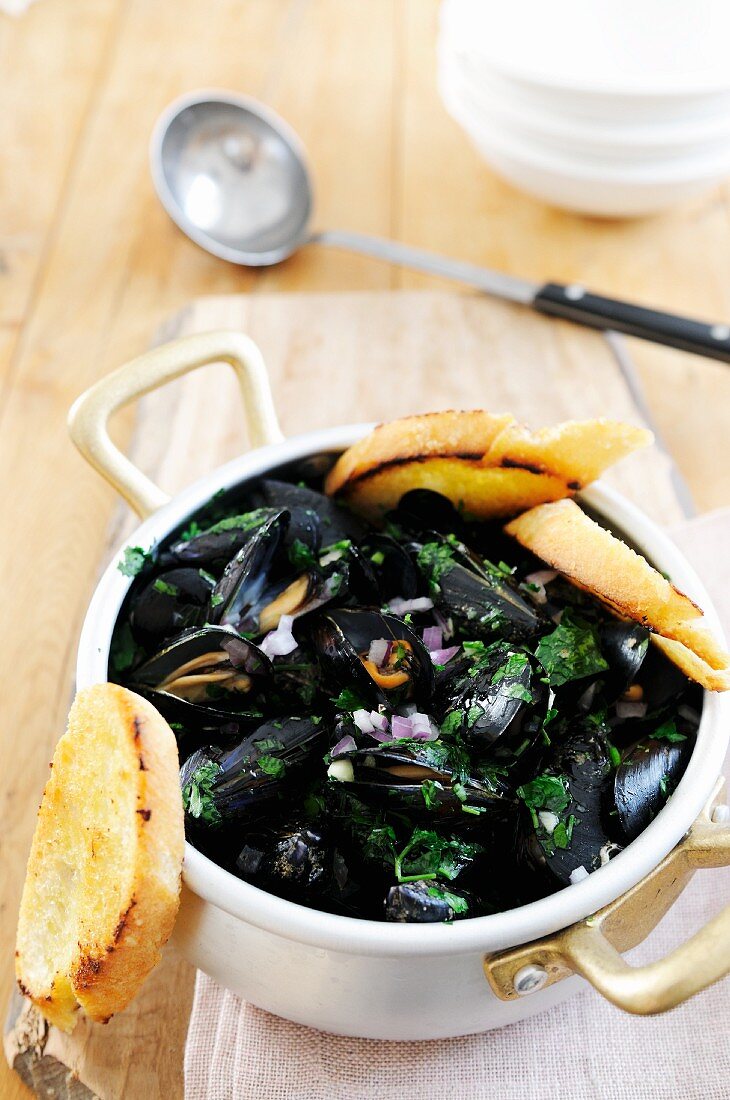 Mussels with white wine, parsley and onions on toasted bread