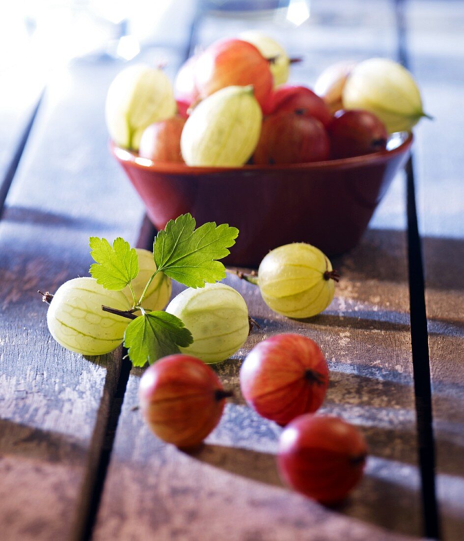 Red and green gooseberries in a bowl and in front of it
