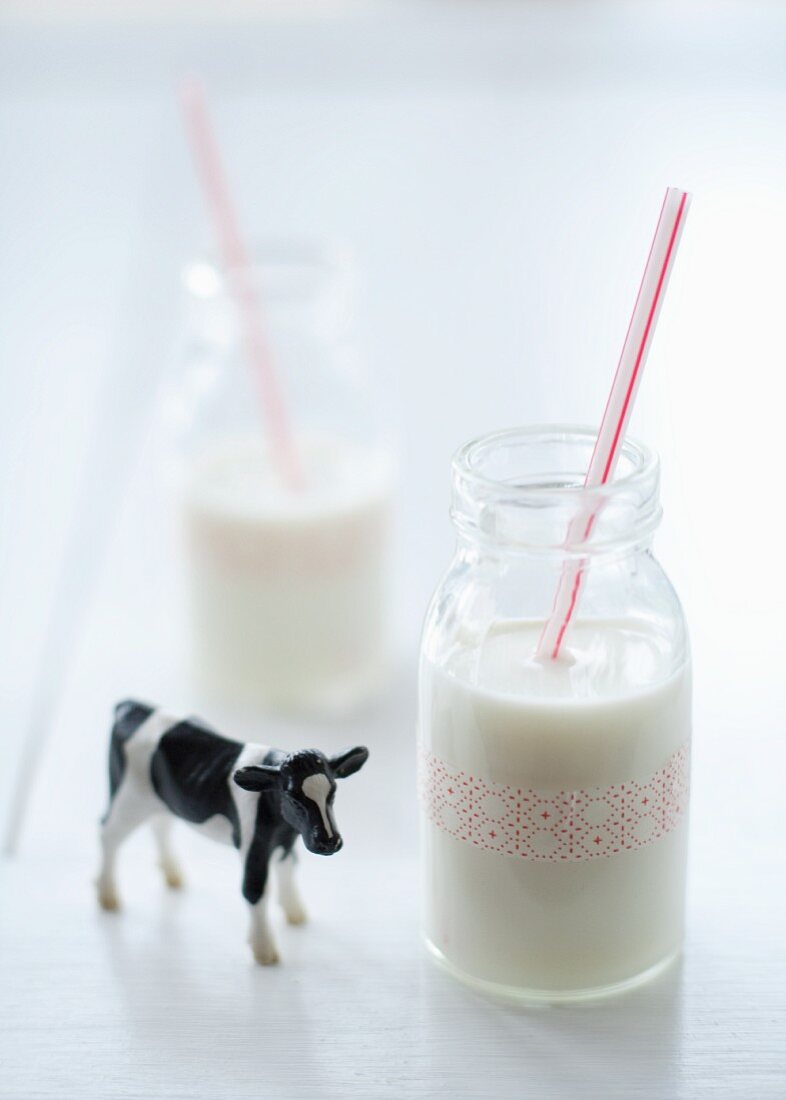 Milch in kleinen Glasfläschchen mit Strohhalm & Kuhfigur