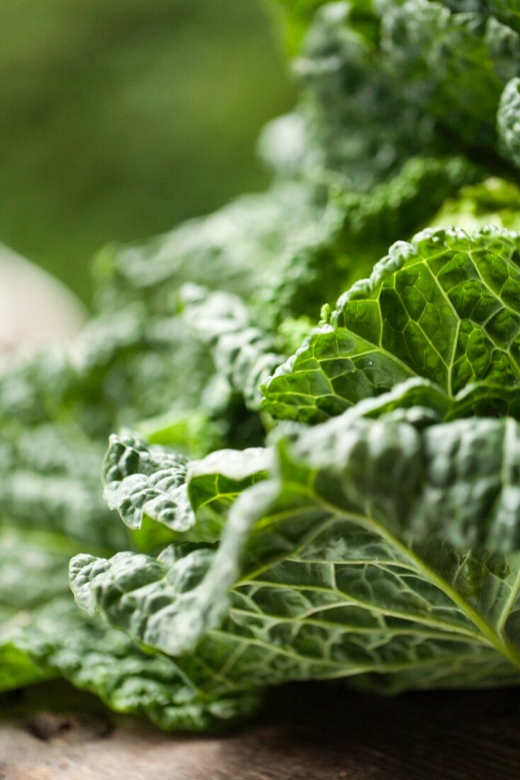 Fresh Savoy Cabbage; Close Up