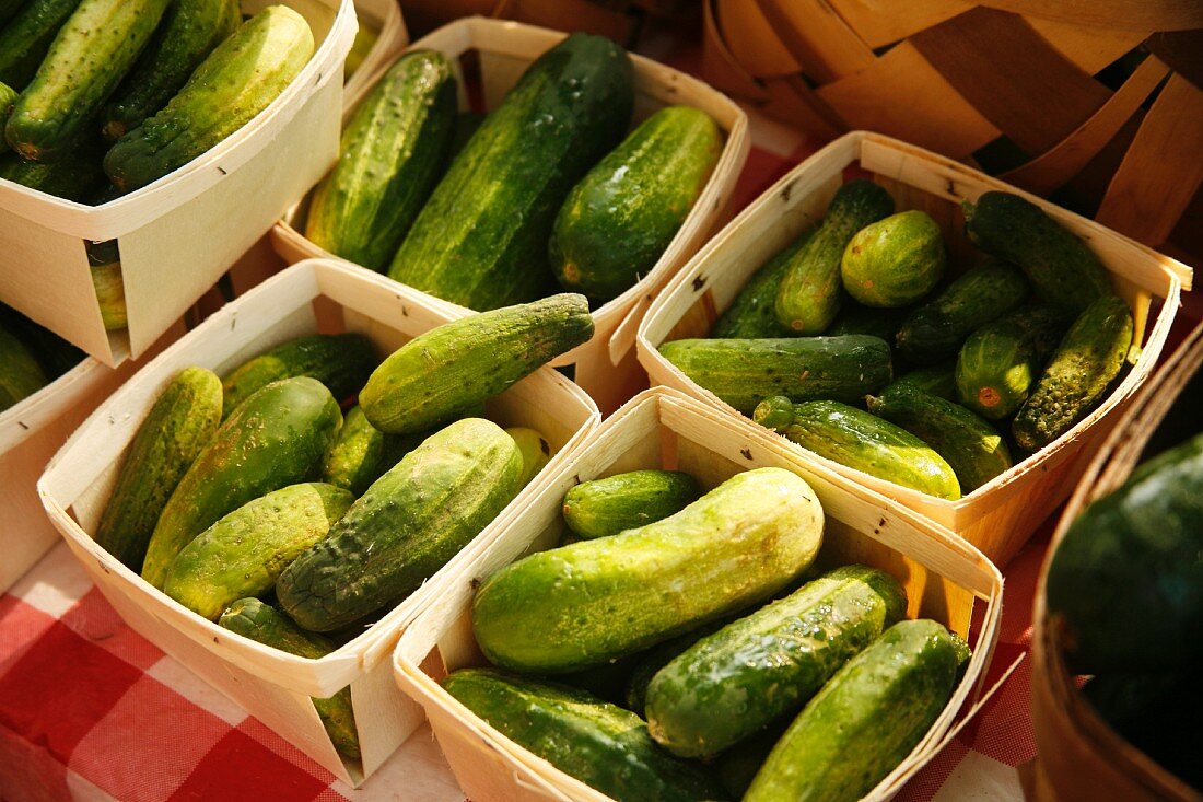 Pickling Cukes at a Farmers Market