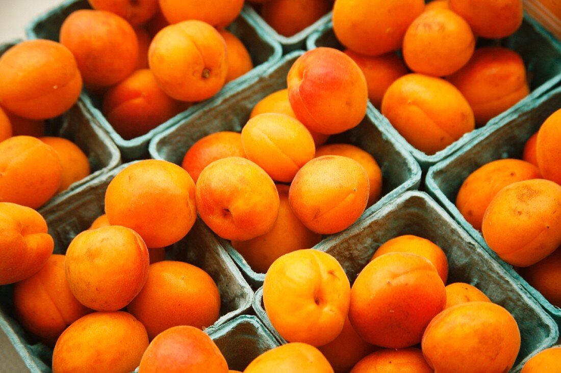 Bio-Aprikosen in Pappschälchen auf Markt