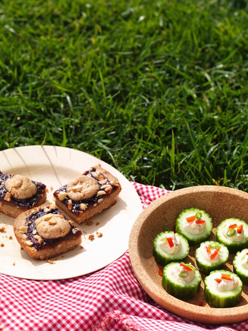 Gurkenhäppchen & Kleingebäck mit Marmelade auf Picknickdecke