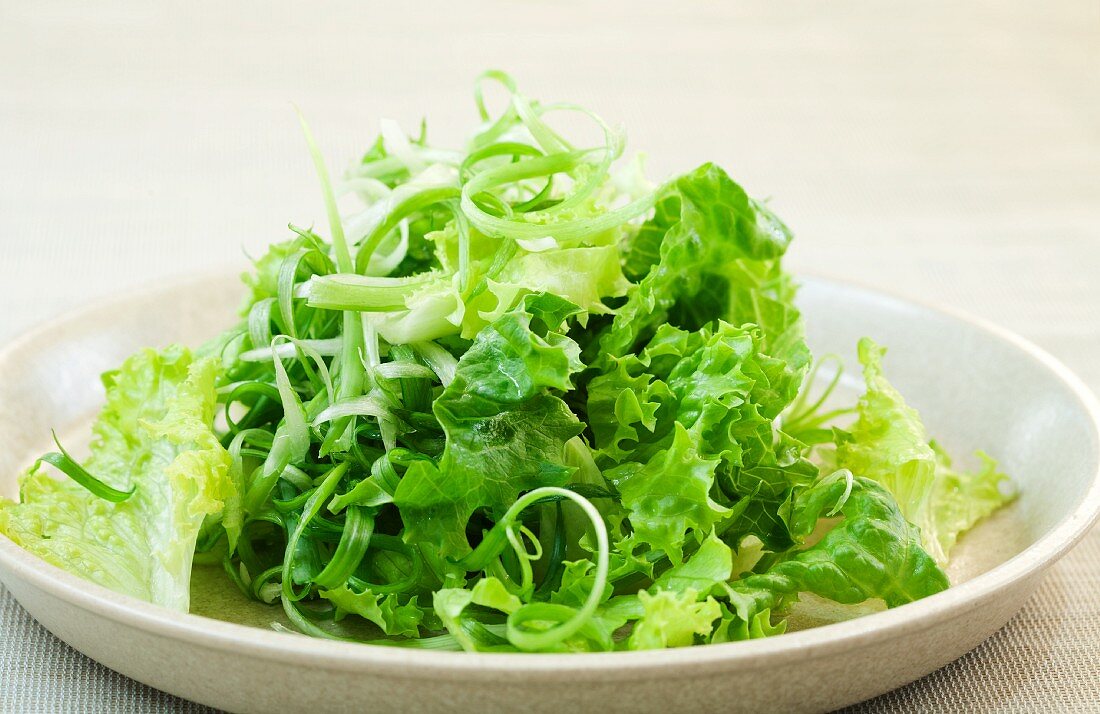 Blattsalat mit Vinaigrette