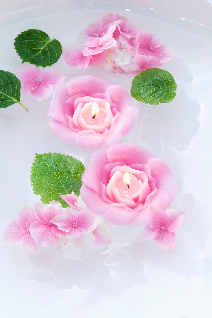 Rose-shaped, scented floating candles in bowl of water