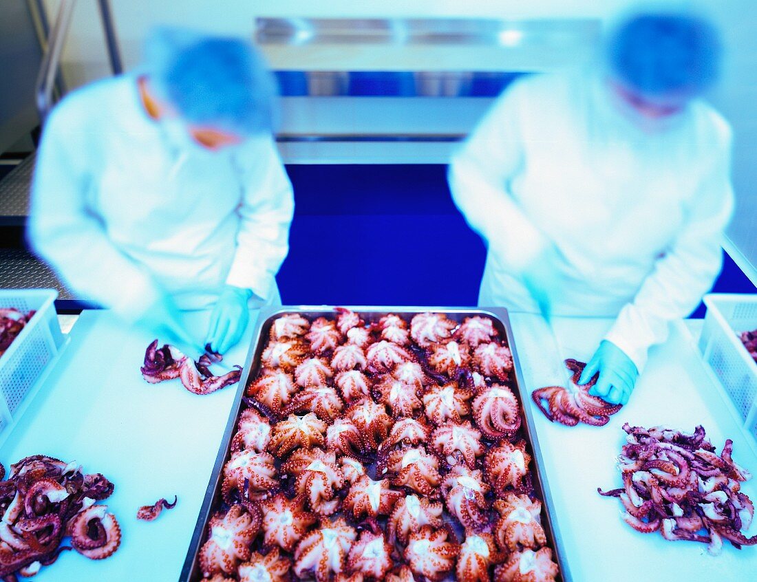 Workers in seafood processing plant