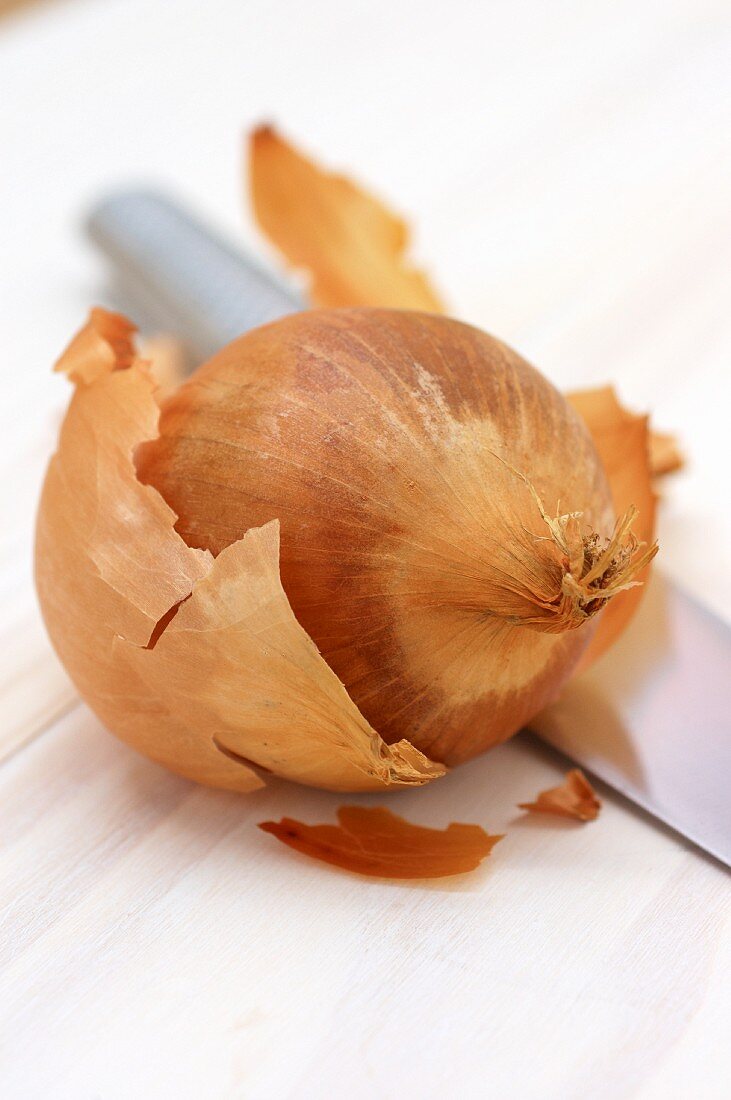 An onion with a knife