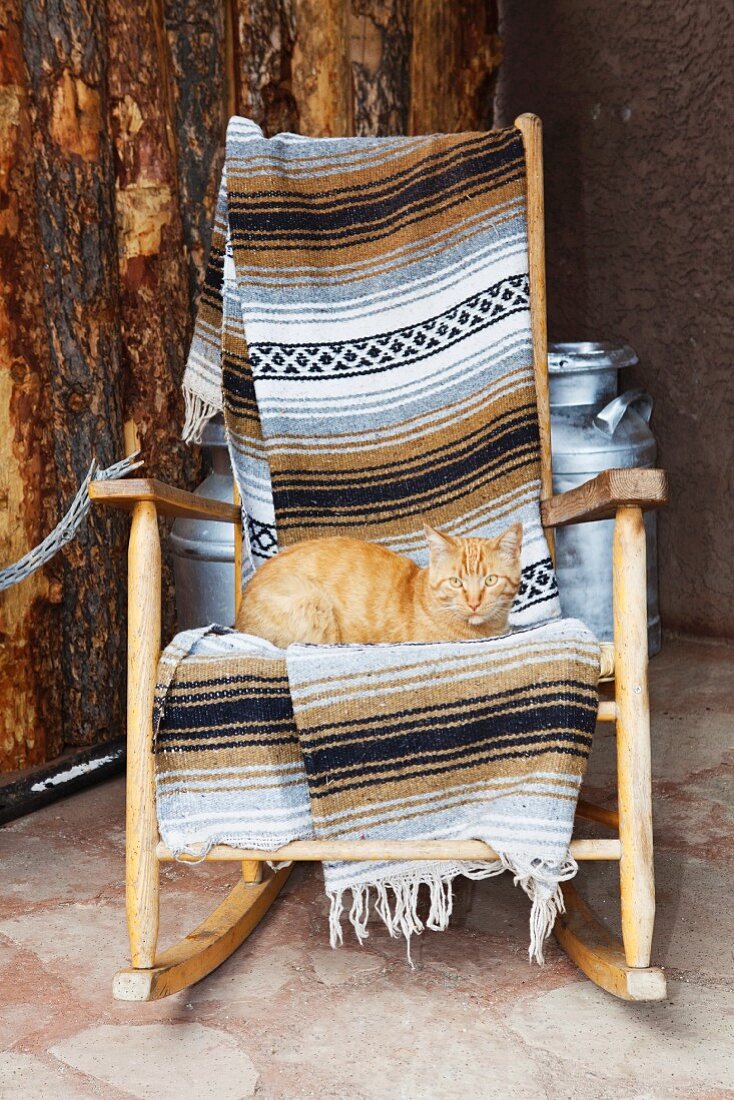 Cat on a Wooden Rocking Chair