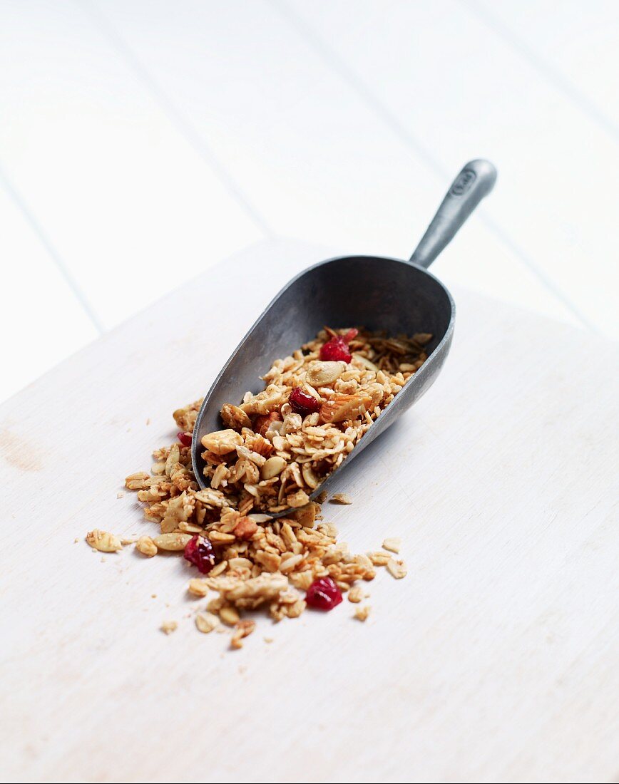 Selbstgemachtes Müsli mit getrockneten Cranberries auf Schaufel