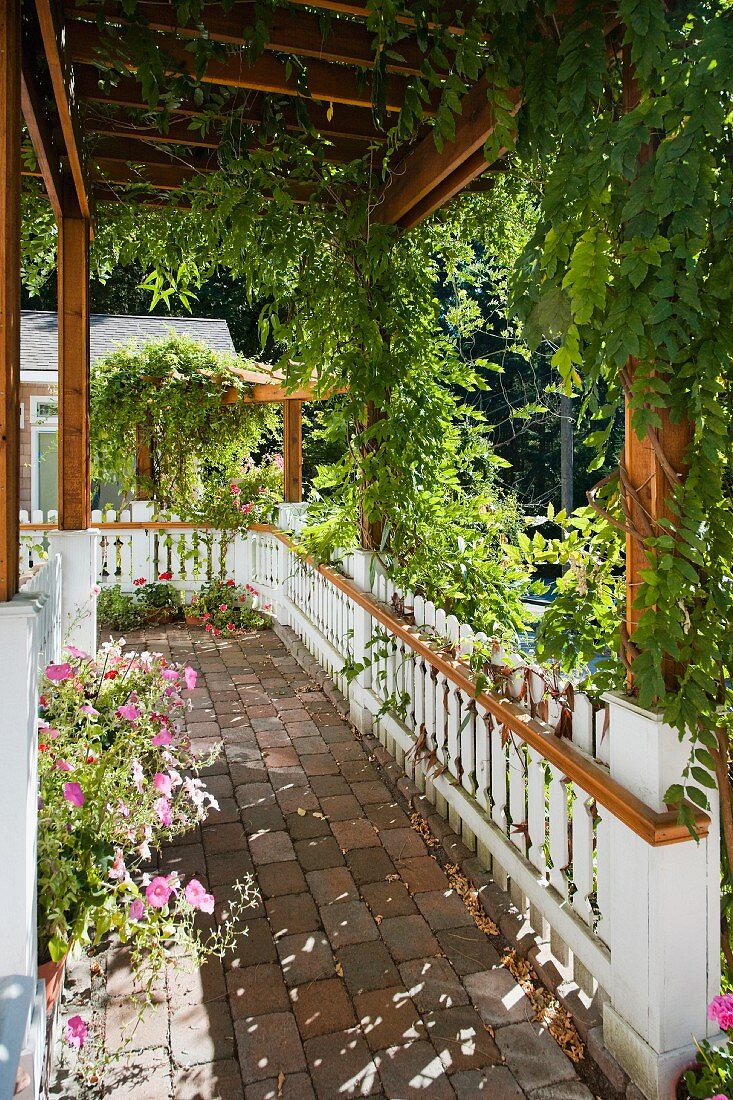 Veranda mit bewachsener Pergola