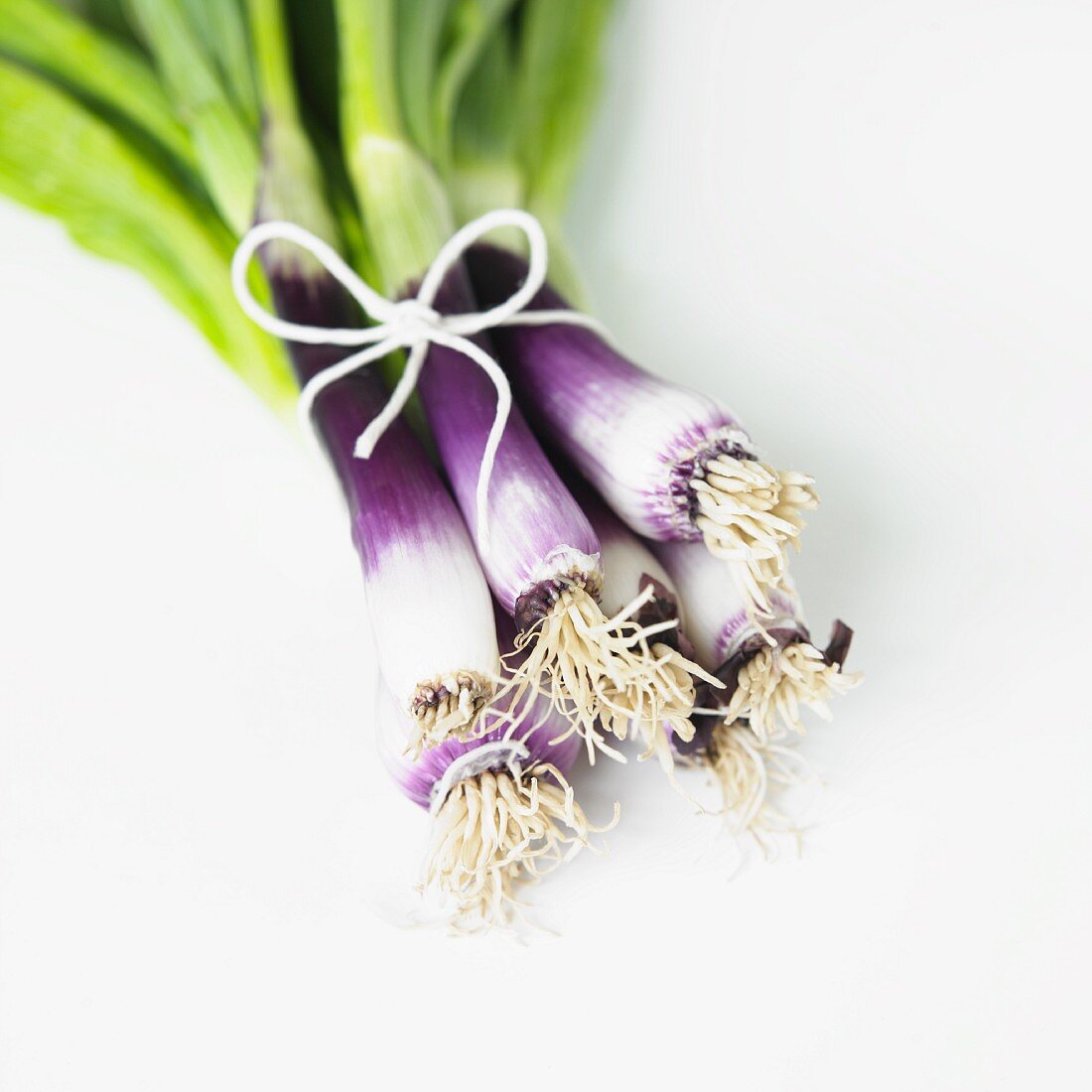 Organic Purple Scallions