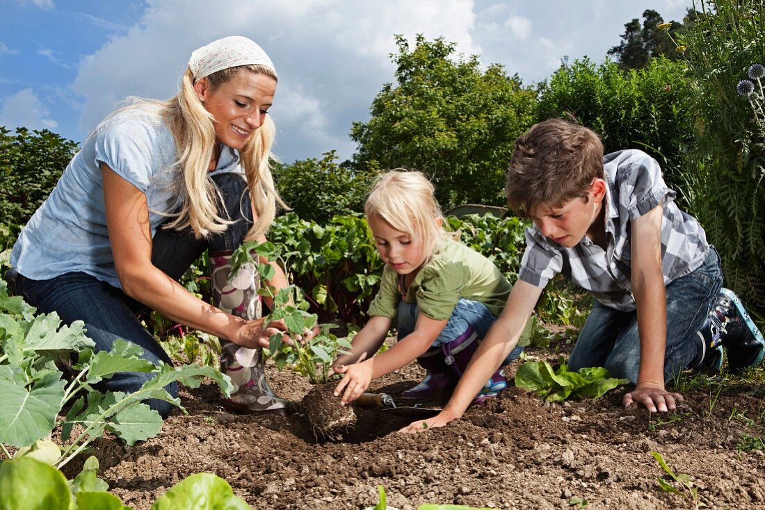 Mutter mit zwei Kindern bei der Gartenarbeit