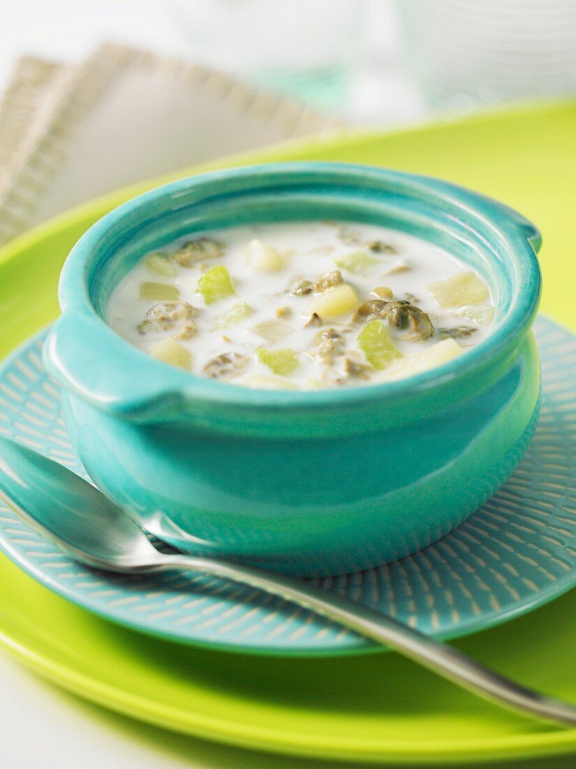 Clam Chowder (Muschelsuppe, USA)