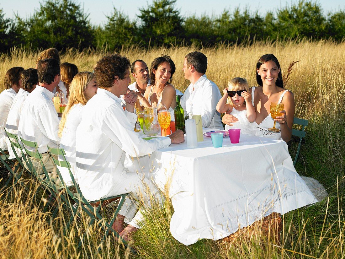 People having dinner in a field