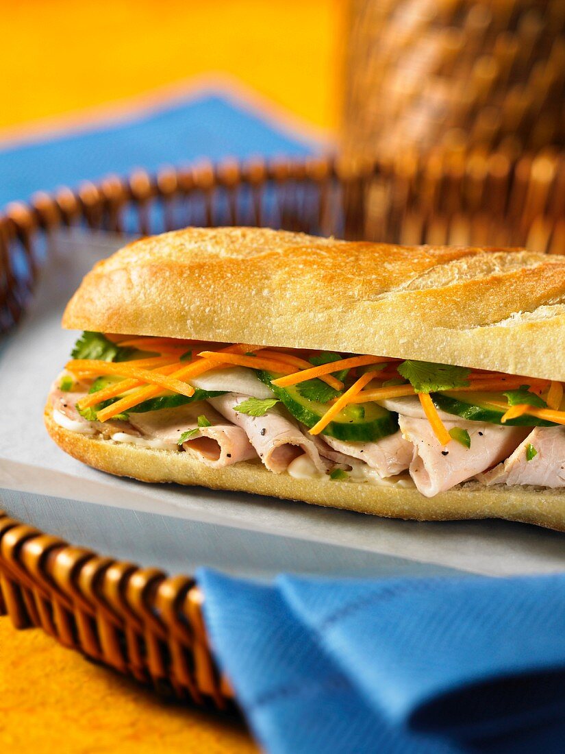 Vietnamese bahn mi sandwich