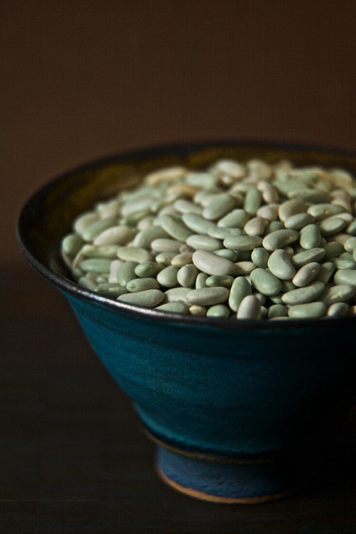 Bowl of Flageolet Beans