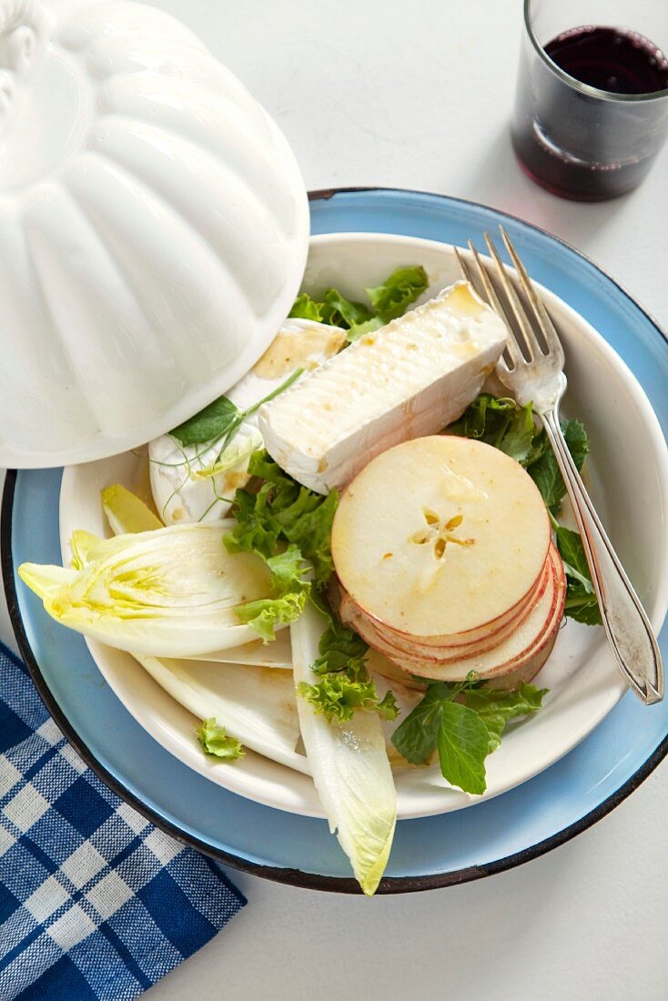 Salat mit Chicorée, Apfelscheiben, Camembert und Djon-Dressing