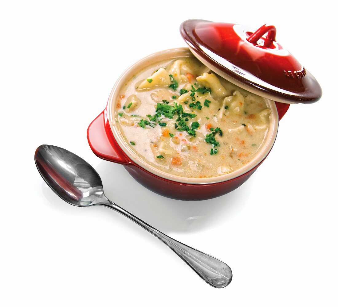 Pot of Chicken and Dumpling Soup; White Background; Spoon