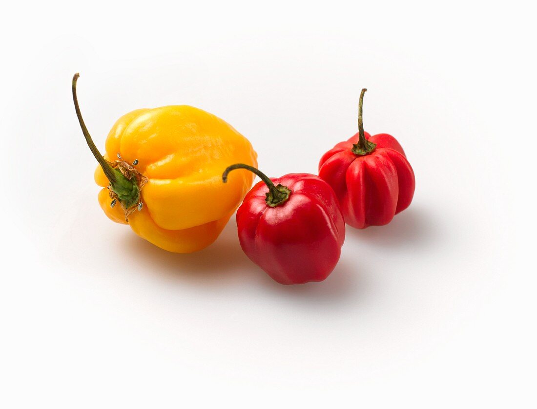 Red and yellow habaneros