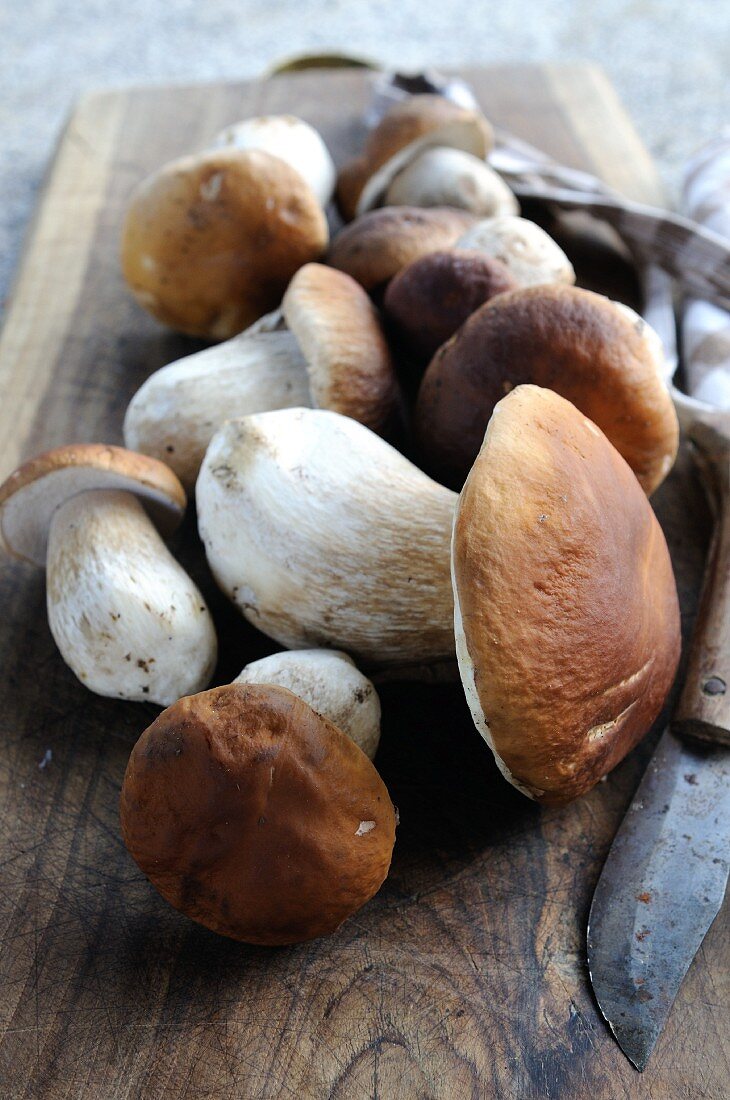 Fresh porcini mushrooms on a chopping board