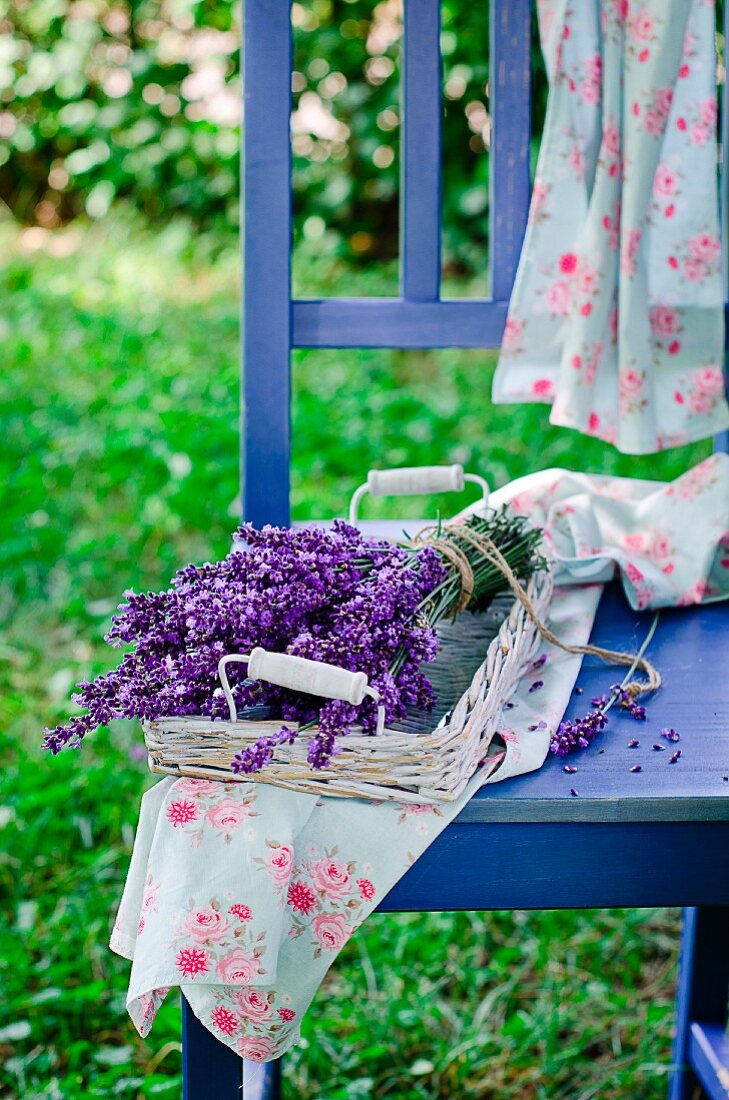 Gebündelte Lavendelblüten im Korb auf Gartenstuhl