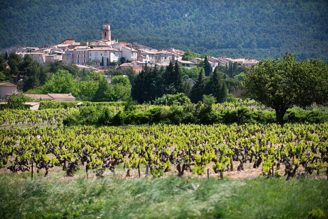Das Weinbaudorf Sablet, Appellation Côtes du Rhône Villages