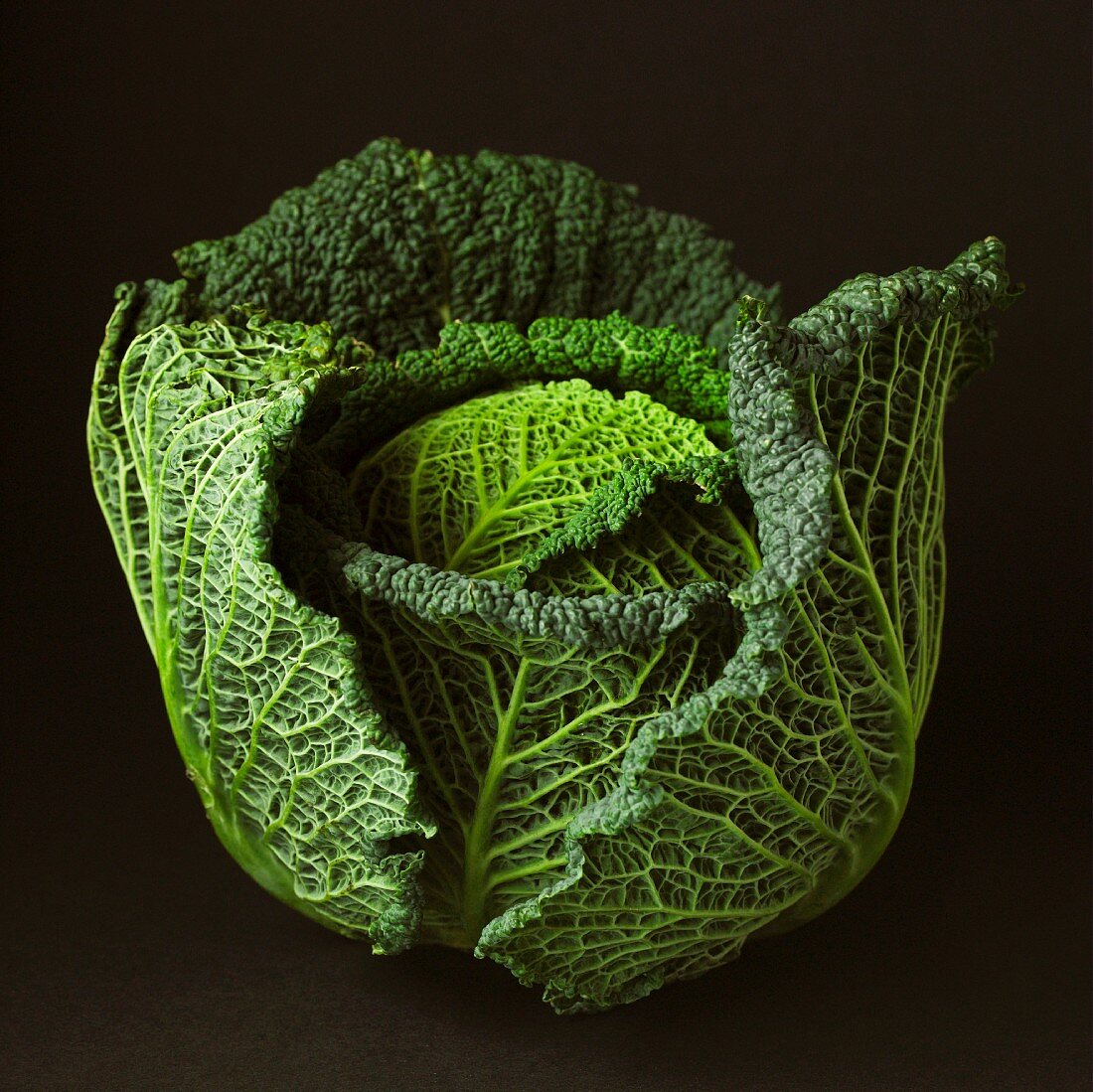 A savoy cabbage