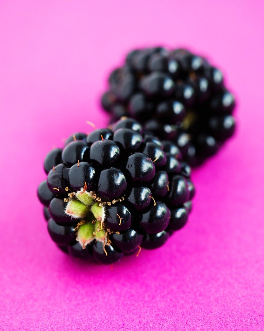 Two blackberries on a pink surface