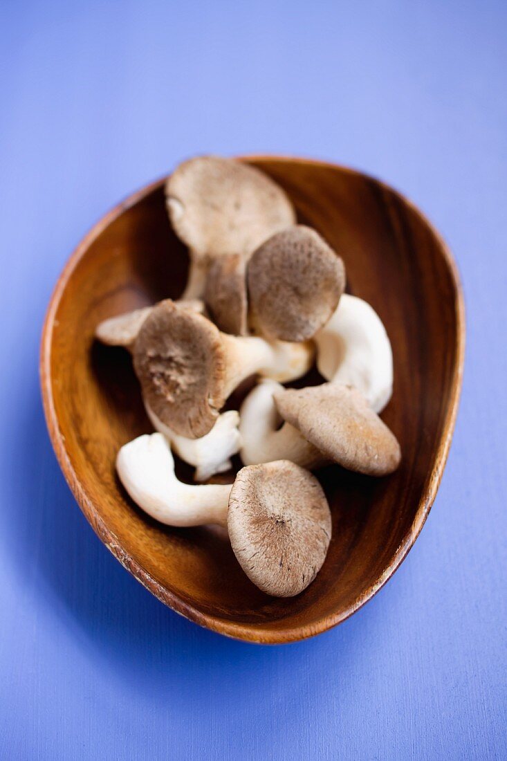 Fresh king trumpet mushrooms in a wooden bowl