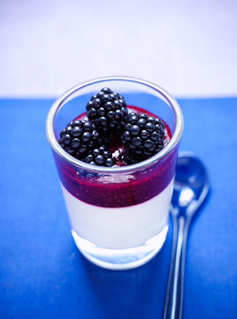 Brombeer-Pannacotta