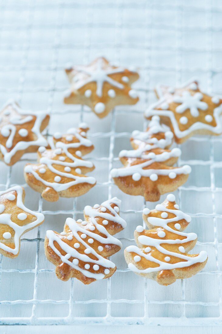 Christmas tree and star-shaped biscuits decorated with icing sugar