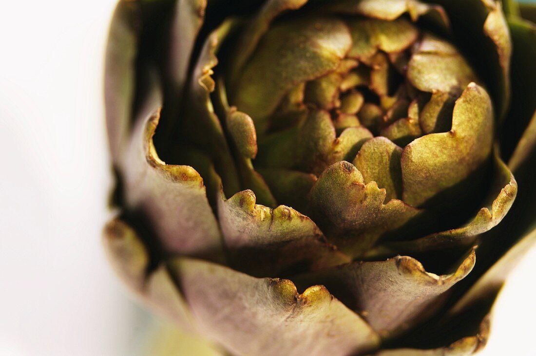 An artichoke seen from above