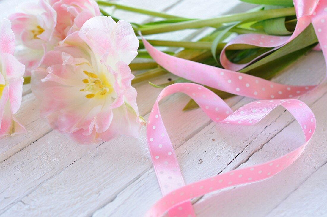 Pink tulips (variety: Angelique) and pink ribbon arranged in heart shape