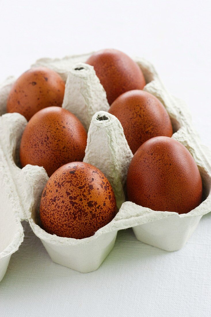 Sechs Eier in einem Eierkarton