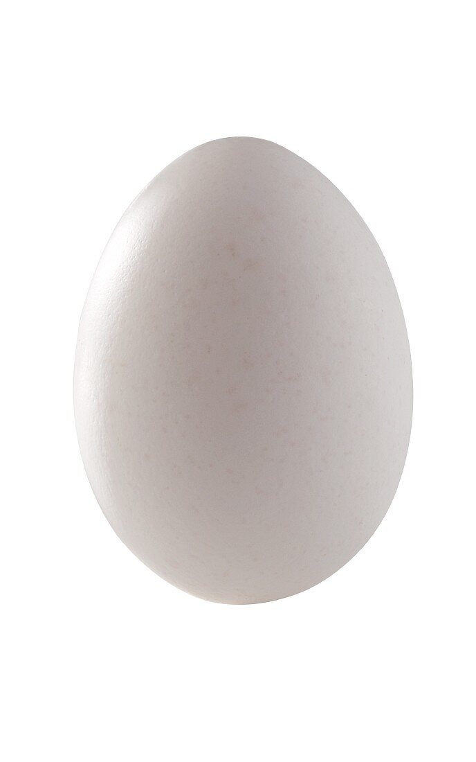 A hen's egg