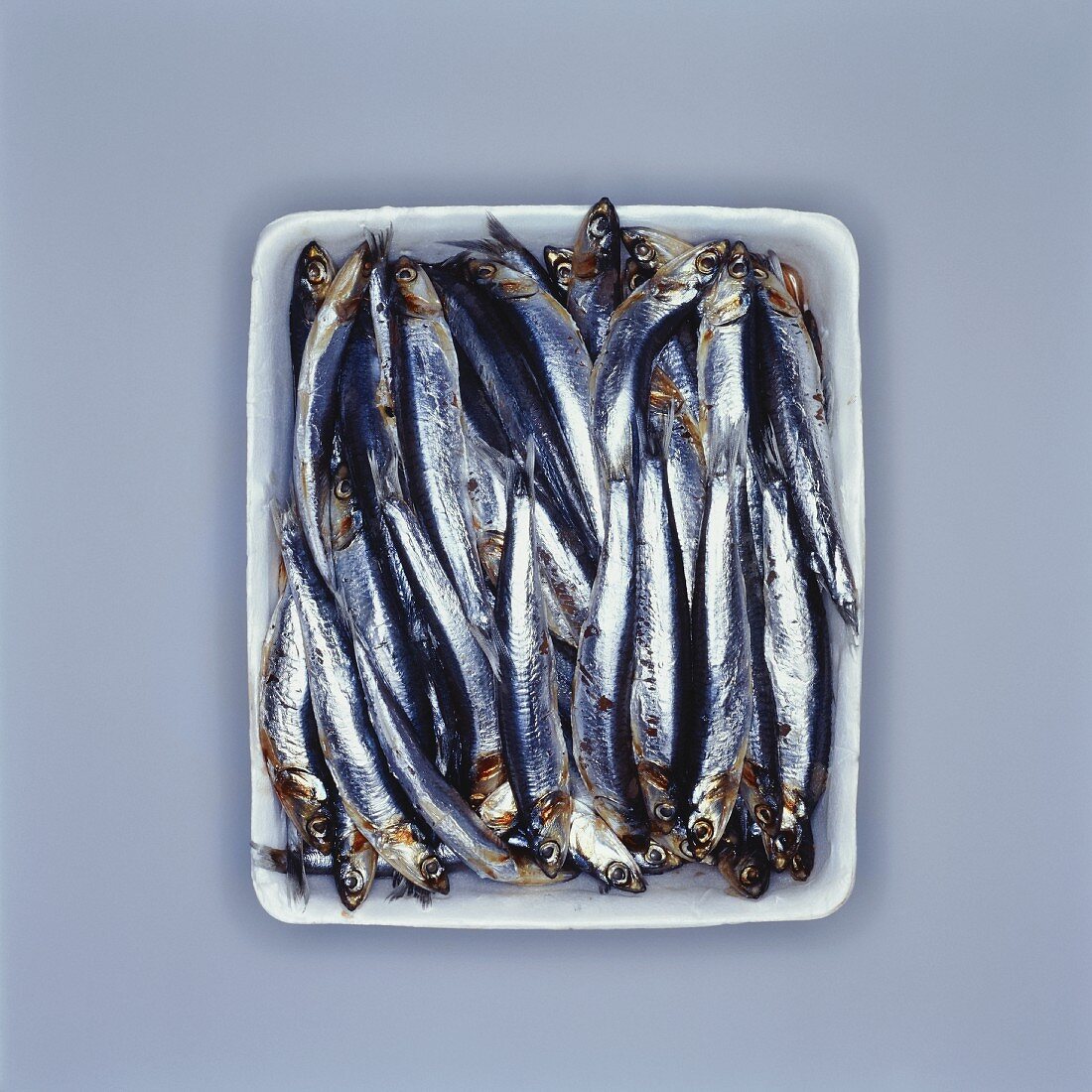 Fresh sardines