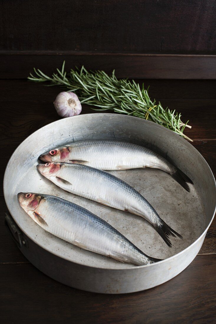 Raw herring in an aluminium tin