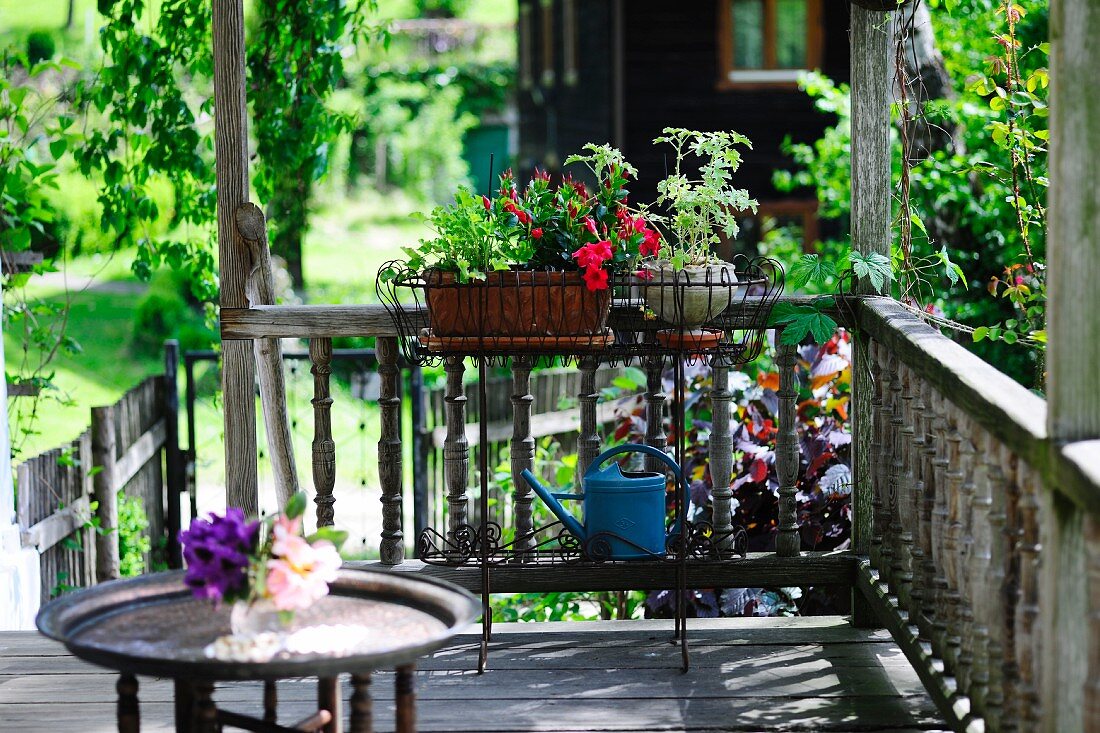 Blumentöpfe auf Veranda eines Bauernhauses