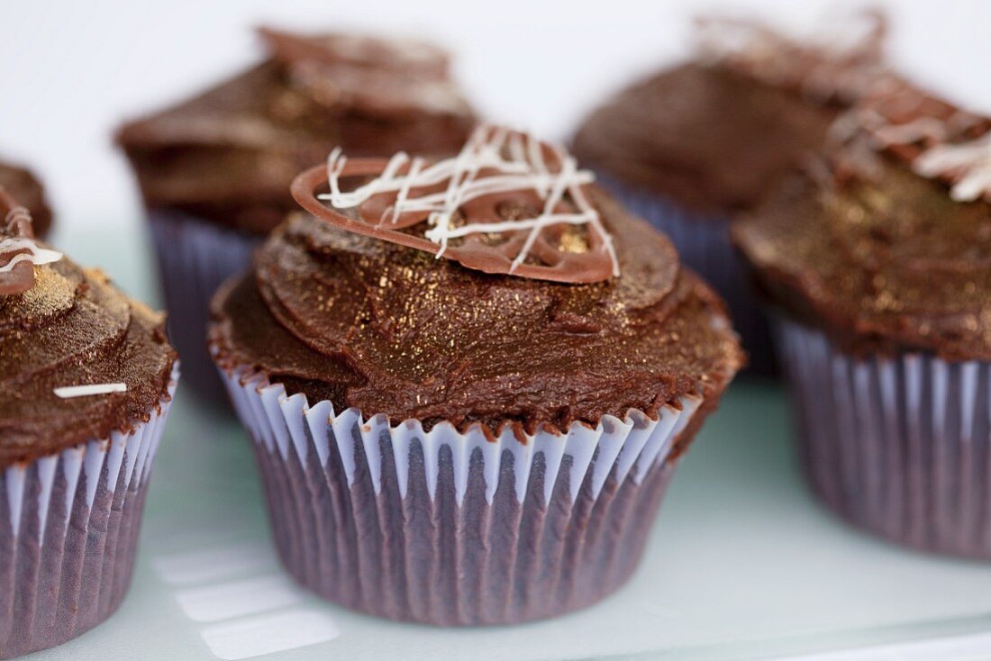 Chocolate cupcakes