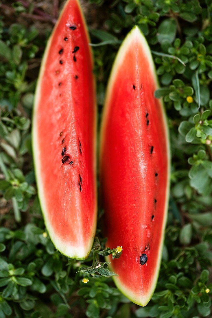 Two wedges of water melon in the grass