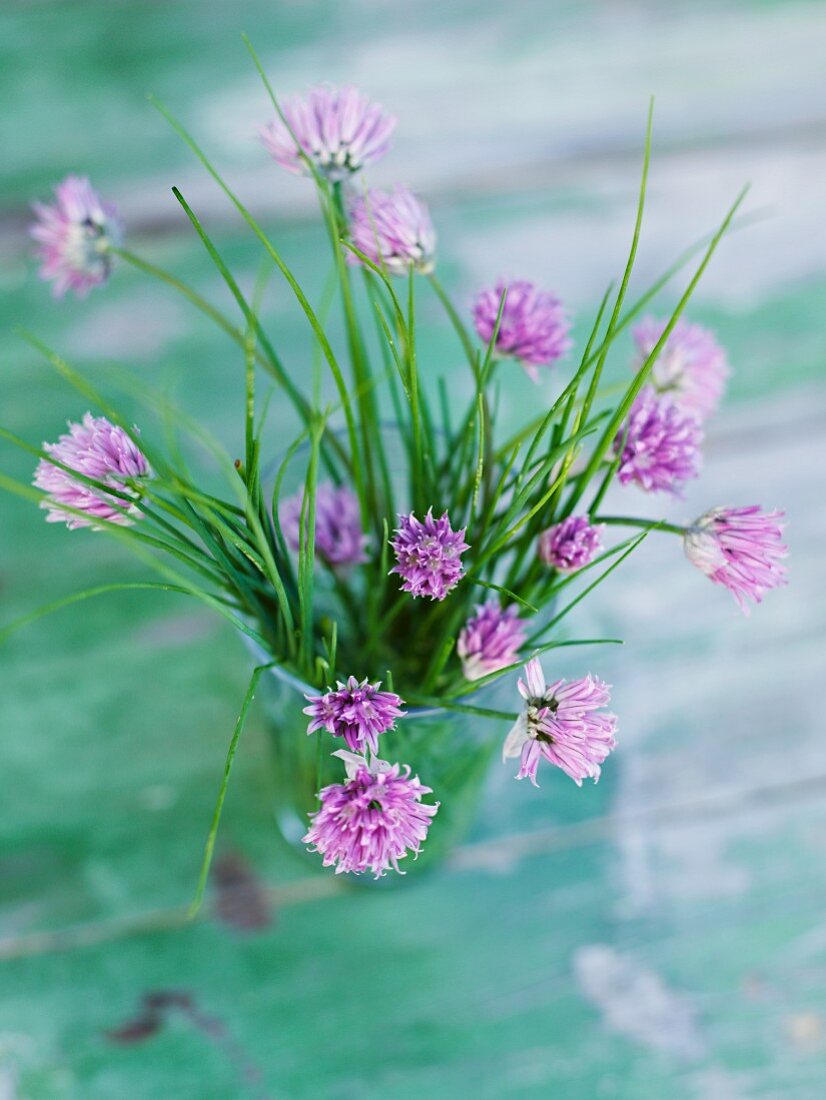 Garlic chive flowers in a glass
