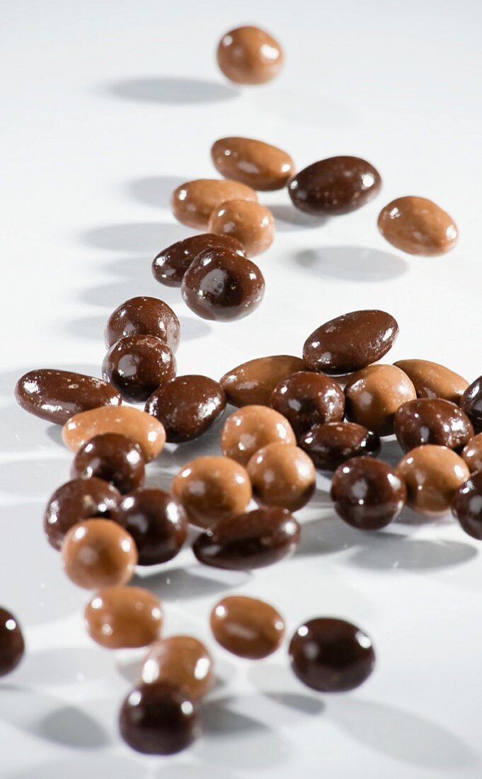 Chocolate covered almonds and hazelnuts