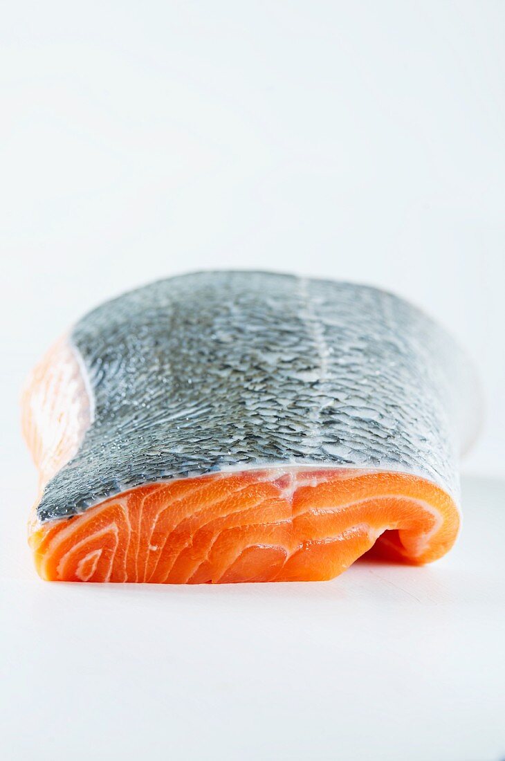 Fresh salmon fillet