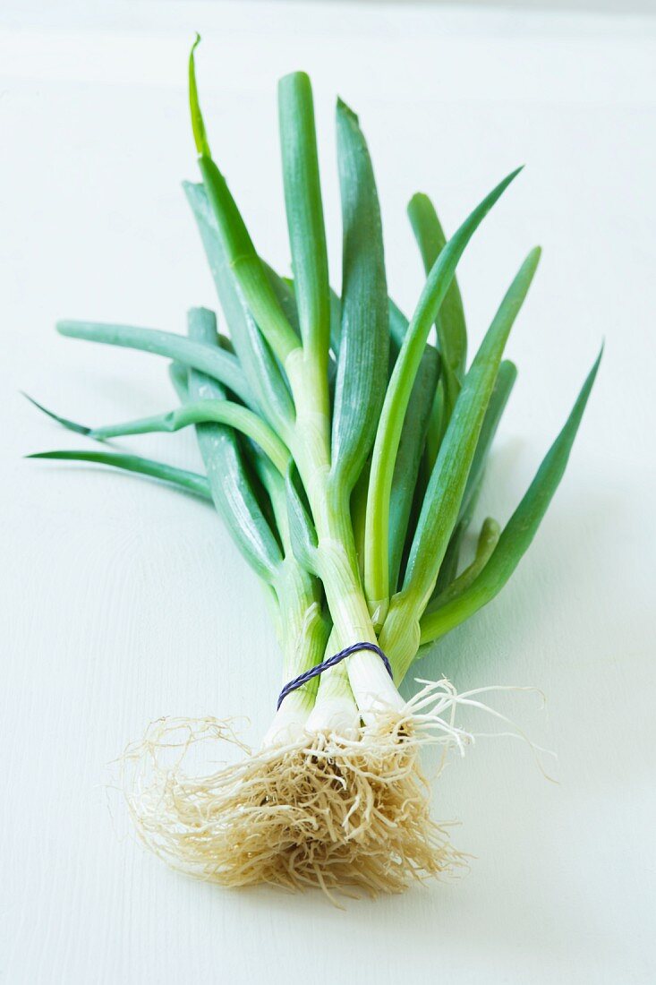 A bunch of spring onions