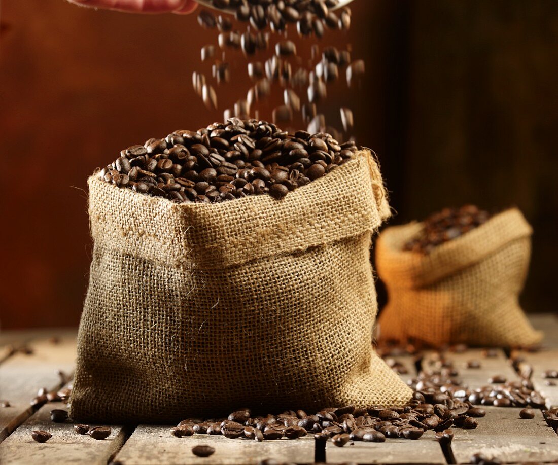 Coffee beans falling into a jute sack