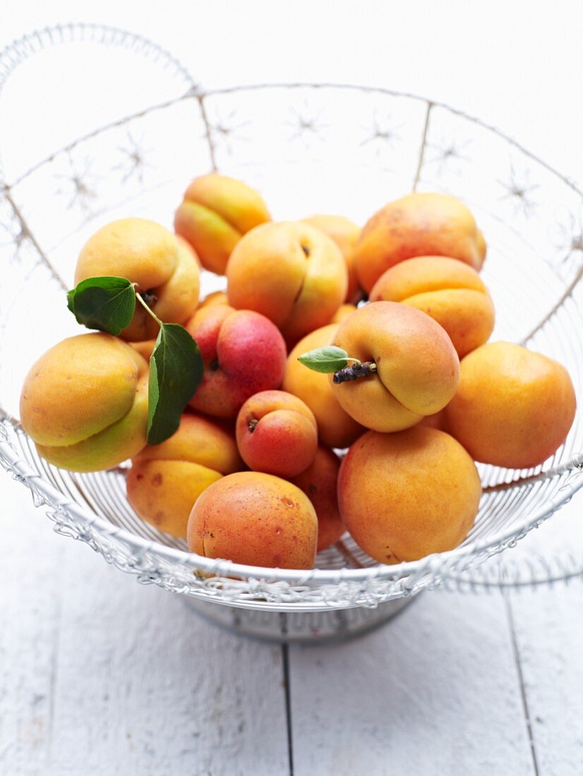 Fresh apricots in a wire basket