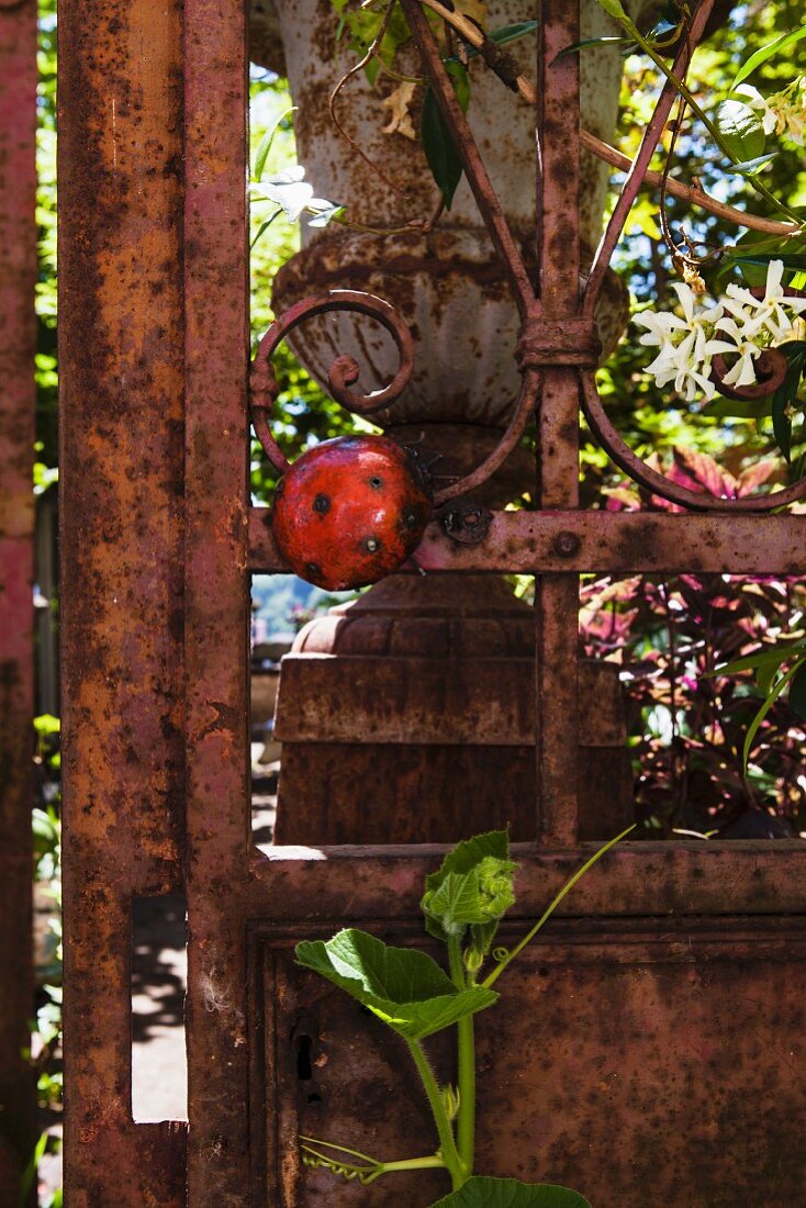 Rusty metal fence with ladybird ornament