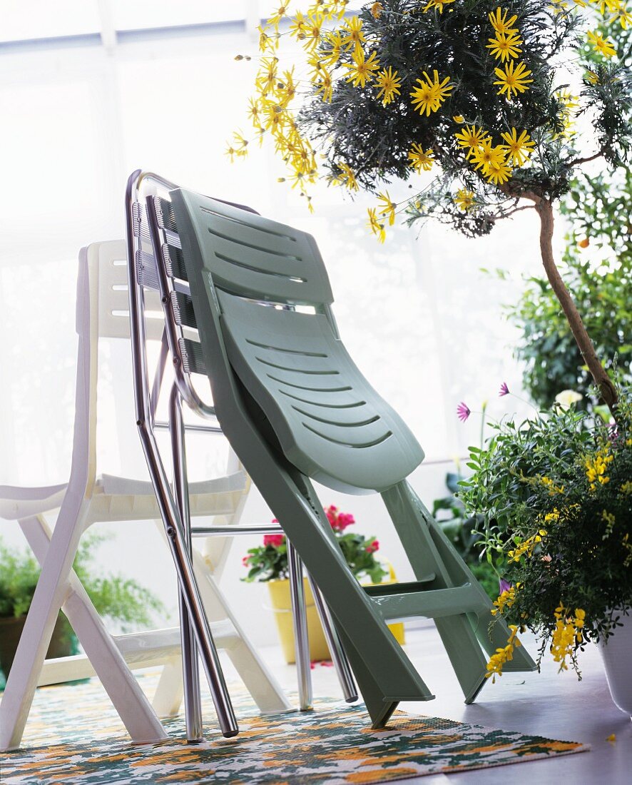 Verschiedene Klappstühle und Bäumchen mit gelben Blüten im Topf