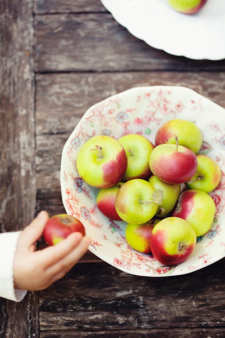 Freshly picked apples on a plate