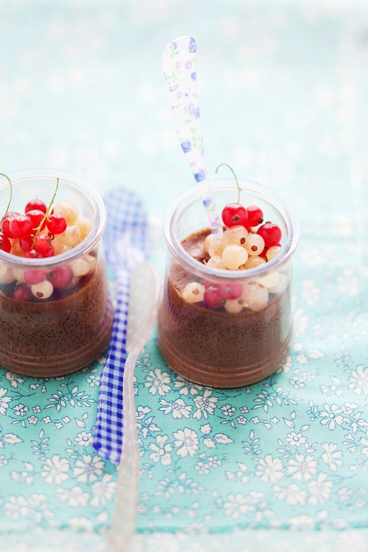 Chocolate pudding with redcurrants and white currants